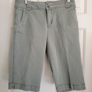 Indigos Chinos Shorts